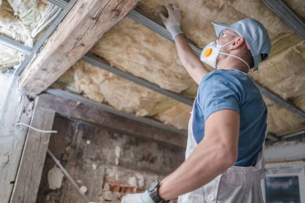 Best Energy Efficiency Insulation in Collinsville, AL